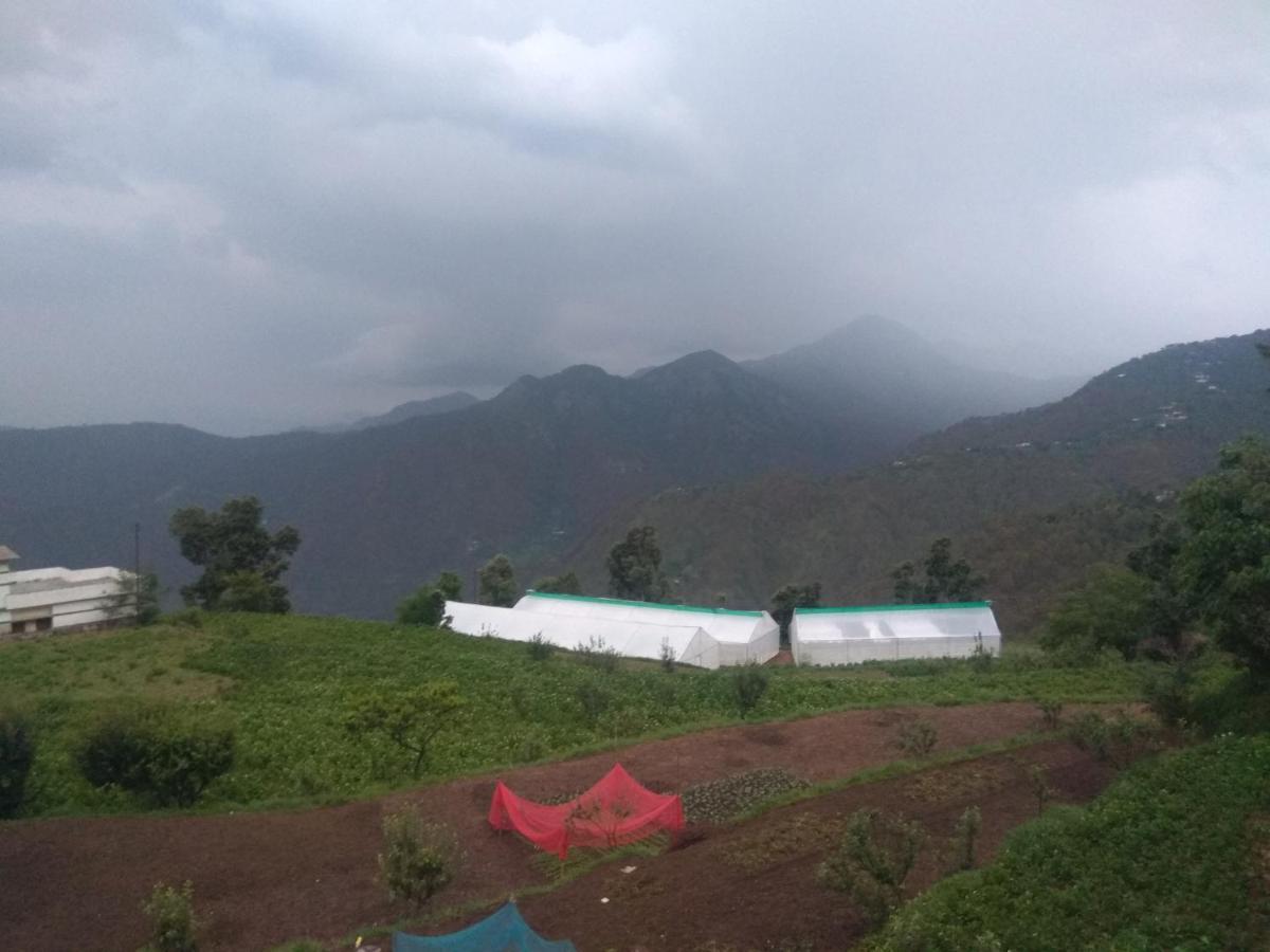 Green View Resort New Tehri Dış mekan fotoğraf
