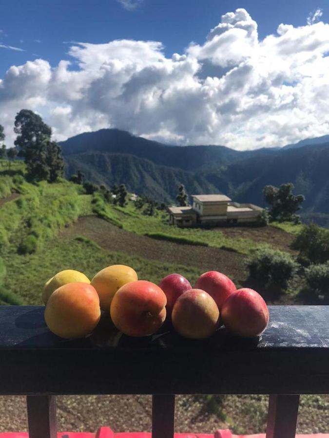 Green View Resort New Tehri Dış mekan fotoğraf